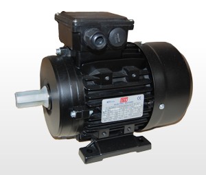 3-Phase TEC Motors